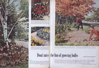 Better Homes & Gardens October 1955 Magazine Article: Page 62