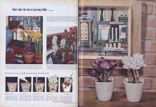 Better Homes & Gardens October 1955 Magazine Article: Page 64