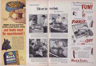 Better Homes & Gardens October 1955 Magazine Article: Fish are for everybody
