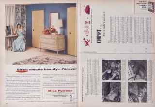 Better Homes & Gardens October 1955 Magazine Article: Page 266