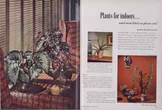 Better Homes & Gardens November 1955 Magazine Article: Plants for indoors...