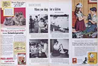 Better Homes & Gardens November 1955 Magazine Article: When you shop for a kitten