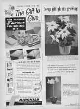 Better Homes & Gardens December 1955 Magazine Article: Keep gift plants growing