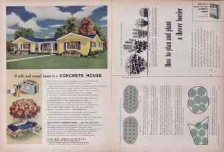 Better Homes & Gardens December 1955 Magazine Article: Page 196