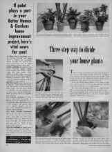 Better Homes & Gardens January 1956 Magazine Article: Three-step way to divide your house plants