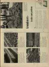 Better Homes & Gardens January 1956 Magazine Article: Groundcovers to solve your problems
