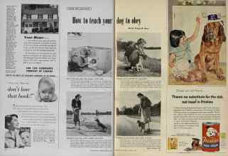 Better Homes & Gardens January 1956 Magazine Article: How to teach your dog to obey