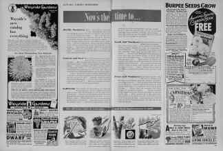 Better Homes & Gardens January 1956 Magazine Article: Now's the time to...