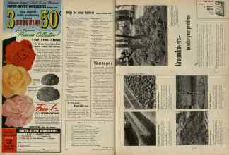 Better Homes & Gardens January 1956 Magazine Article: Page 126