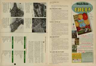 Better Homes & Gardens January 1956 Magazine Article: Page 128