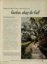 Better Homes & Gardens February 1956 Magazine Article: Garden along the Gulf