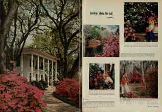 Better Homes & Gardens February 1956 Magazine Article: Page 52