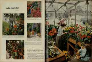 Better Homes & Gardens February 1956 Magazine Article: Page 54