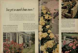 Better Homes & Gardens February 1956 Magazine Article: You get so much from roses!