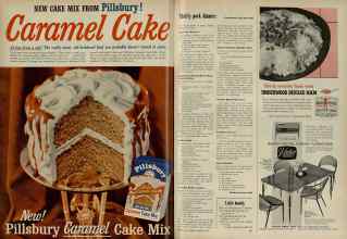 Better Homes & Gardens February 1956 Magazine Article: Page 100