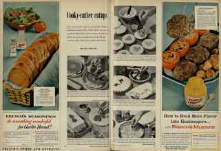 Better Homes & Gardens February 1956 Magazine Article: Page 102