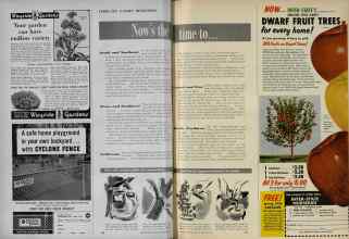 Better Homes & Gardens February 1956 Magazine Article: Now's the time to. . .