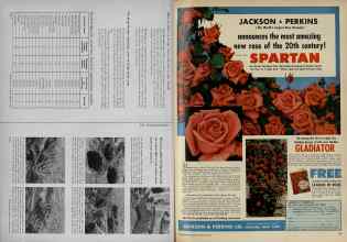 Better Homes & Gardens February 1956 Magazine Article: Page 192