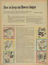 Better Homes & Gardens March 1956 Magazine Article: How to keep cut flowers longer