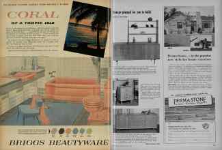 Better Homes & Gardens March 1956 Magazine Article: Page 232