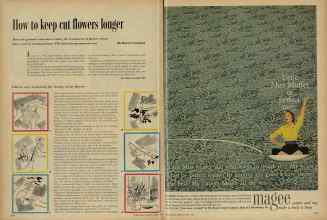 Better Homes & Gardens March 1956 Magazine Article: Page 234