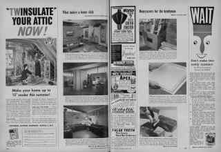 Better Homes & Gardens March 1956 Magazine Article: Page 248