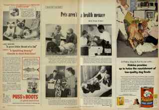 Better Homes & Gardens March 1956 Magazine Article: Pets aren't a health menace