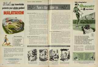 Better Homes & Gardens March 1956 Magazine Article: Now's the time to...
