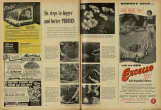 Better Homes & Gardens March 1956 Magazine Article: Six steps to bigger and better PEONIES
