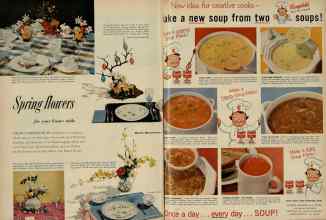 Better Homes & Gardens April 1956 Magazine Article: Page 98