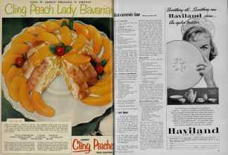 Better Homes & Gardens April 1956 Magazine Article: Page 114