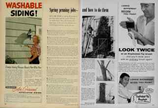 Better Homes & Gardens April 1956 Magazine Article: Spring pruning jobs and how to do them