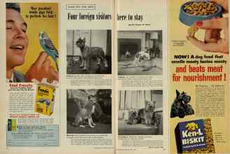 Better Homes & Gardens April 1956 Magazine Article: Page 318