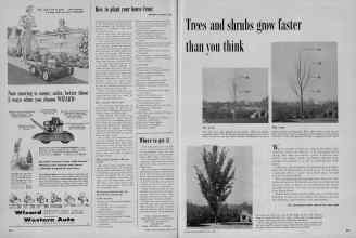 Better Homes & Gardens April 1956 Magazine Article: Page 328