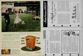 Better Homes & Gardens April 1956 Magazine Article: Page 332