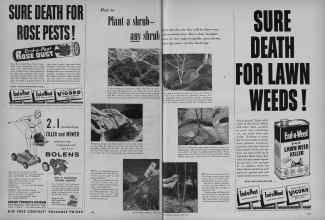 Better Homes & Gardens April 1956 Magazine Article: Page 358
