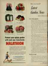 Better Homes & Gardens May 1956 Magazine Article: Have you heard? Latest Garden News