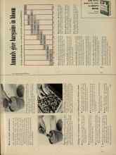 Better Homes & Gardens May 1956 Magazine Article: Annuals give bargains in bloom