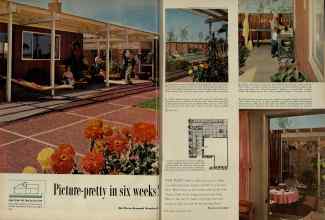 Better Homes & Gardens May 1956 Magazine Article: Picture-pretty in six weeks!
