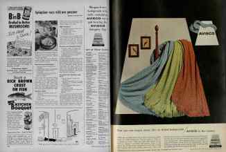 Better Homes & Gardens May 1956 Magazine Article: Page 154