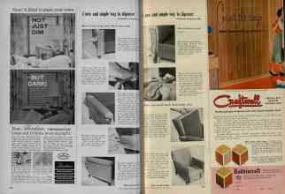 Better Homes & Gardens May 1956 Magazine Article: Page 202