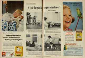 Better Homes & Gardens May 1956 Magazine Article: Page 280