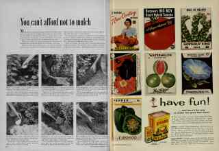 Better Homes & Gardens May 1956 Magazine Article: Page 314