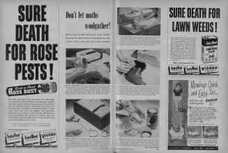 Better Homes & Gardens May 1956 Magazine Article: Page 346