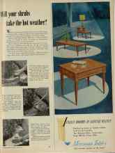 Better Homes & Gardens June 1956 Magazine Article: Will your shrubs take the hot weather?