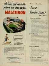 Better Homes & Gardens June 1956 Magazine Article: Have you heard the Latest Garden News?