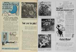 Better Homes & Gardens June 1956 Magazine Article: Your year for pinks!