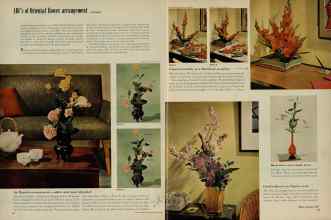 Better Homes & Gardens June 1956 Magazine Article: Page 64