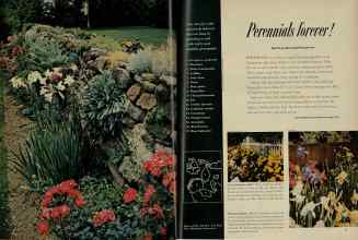 Better Homes & Gardens June 1956 Magazine Article: Page 70