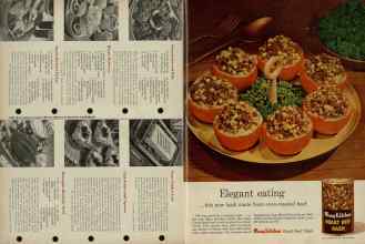 Better Homes & Gardens June 1956 Magazine Article: Page 100